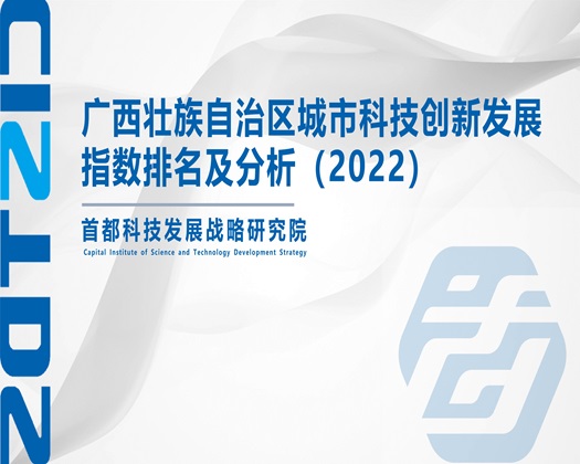 我看操逼狂操【成果发布】广西壮族自治区城市科技创新发展指数排名及分析（2022）